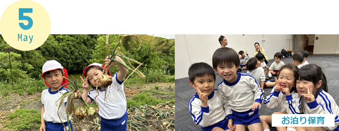 May 父母の日プレゼント・一泊保育(５歳児のみ) 個人懇談・各検診・検査