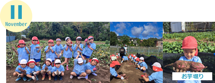 November 七五三参り・交通安全指導・お芋掘り<
